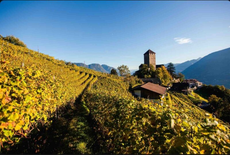 L'Autunno in Tirolo - Foto MyWhere Copyright